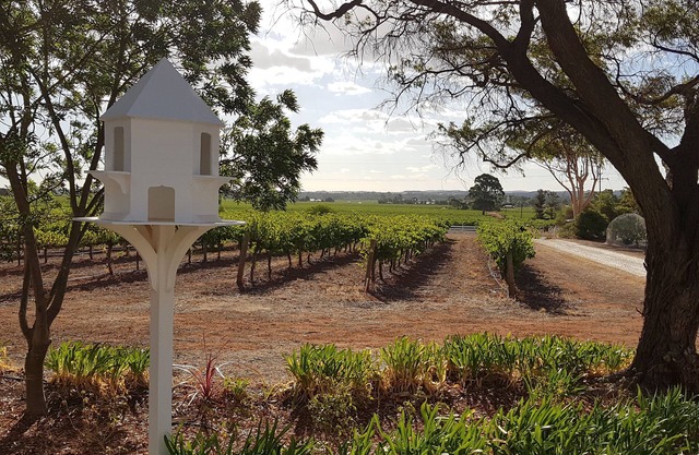 Cottage Guest 'dans les vignes'