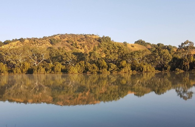Bowhill Riverfront Shack