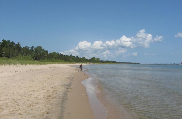 3. 5 acres, 190 pieds du lac Michigan Awesome SAND Beach