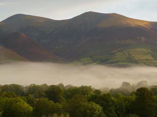 Bracken Howe