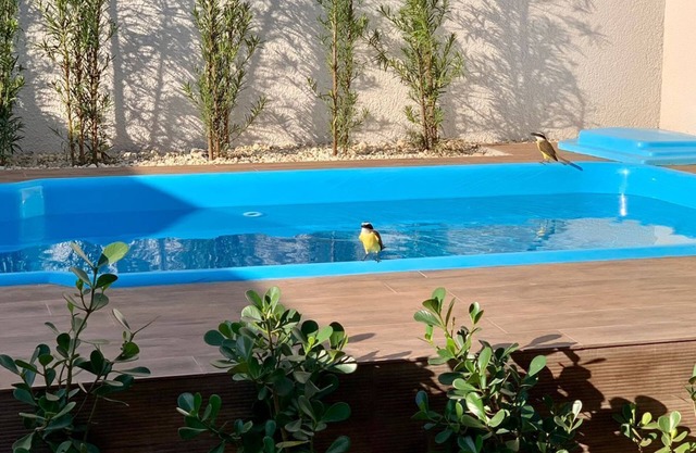 Brand new and beautiful house with SWIMMING POOL in the central region of Foz