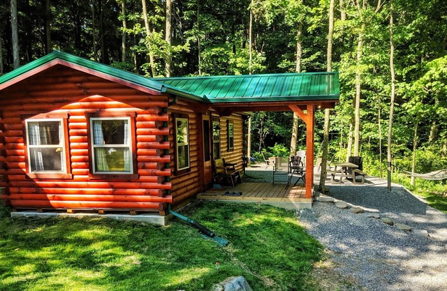 Nouvelle cabine sur 80 acres