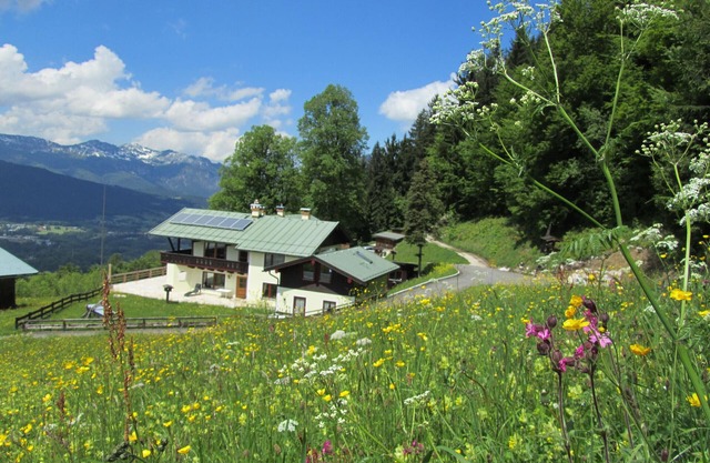 * Panorama de montagne avec vue sur la vallée2: greenstone pour non-fumeurs absolus