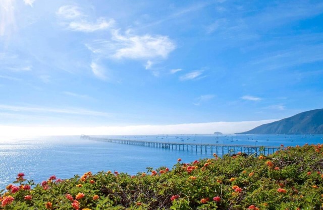 Breathtaking Ocean View! 2 Classy Units, Near Pirates Cove Beach, Outdoor Pool, Kitchen