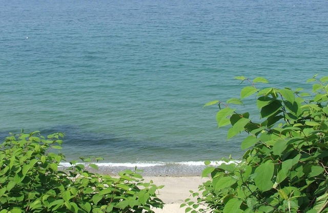 Cottage hi on Bluffs, sur une plage privée, vue imprenable sur la baie de Cape Cod / PTown
