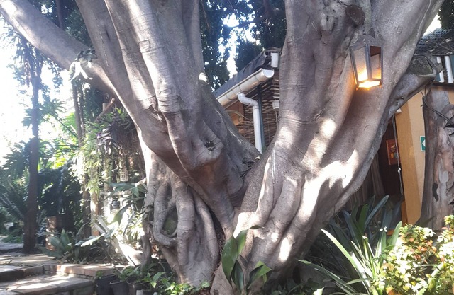 Breena BnB Guest House