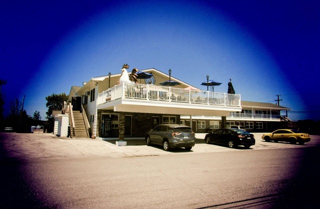 Brewer Motor Inn