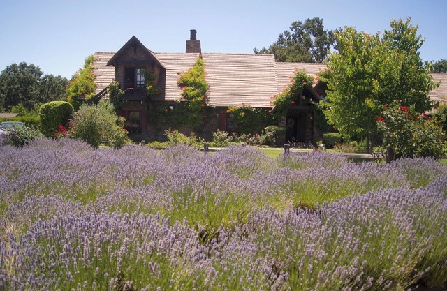 Briarwood Cottage is a four-bedroom, idyllic getaway on the ONX Estate Vineyard!
