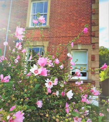 Bridport Garden Suite