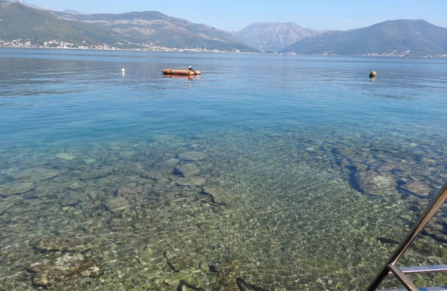 Bright, cozy apartment 50 meters from the beach. Pet-Friendly!