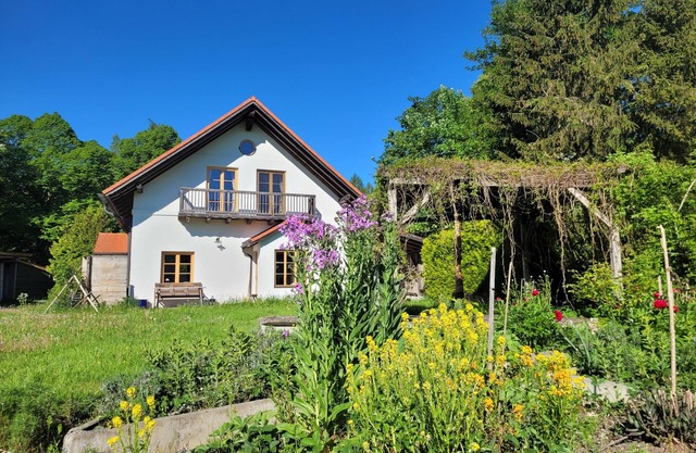 Maison de vacances lumineuse dans une clairière