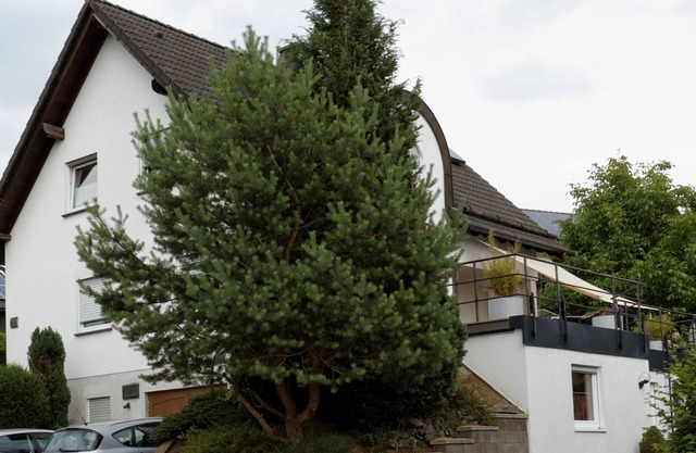 Appartement lumineux et moderne entre Nürburgring et Moselle, proche de la nature