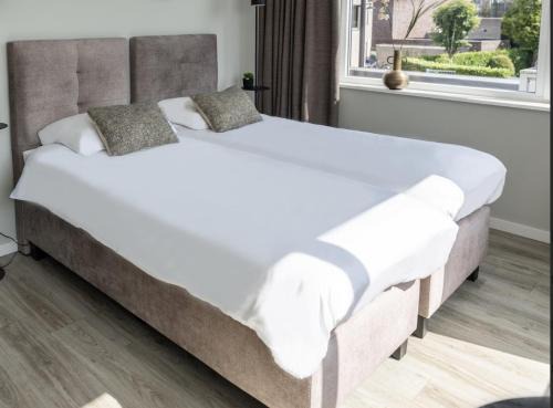 Bright Room With Comfortable Bed & Bathroom