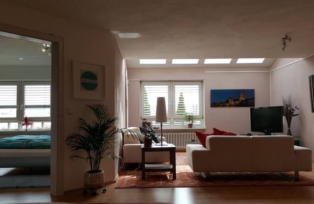 Ensoleillé lumineux et spacieux appartement donnant sur le Danube à Ratisbonne