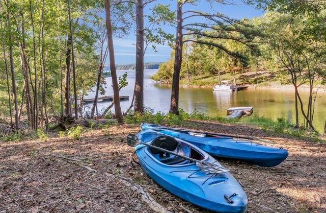 Bring YOUR BOAT- Private Dock, Deep Water, Gameroom and Firepit