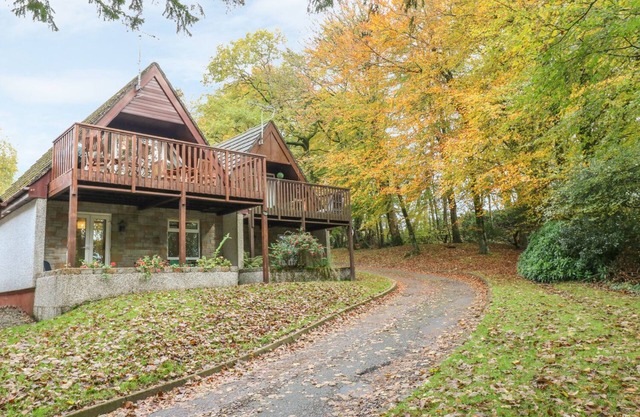 BROOKVIEW, Animaux de compagnie accept��s, avec piscine à Callington, Ref 988257