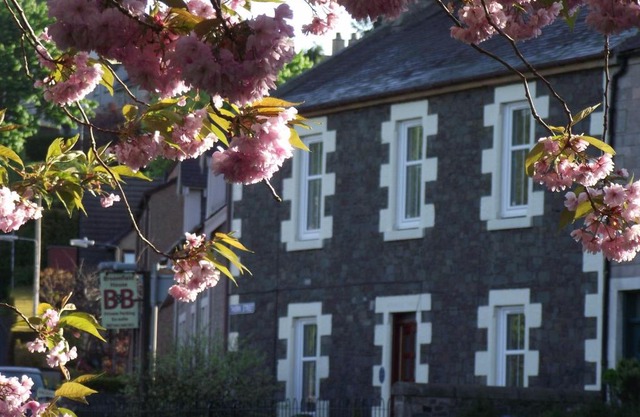 Broomfield House Bed and Breakfast