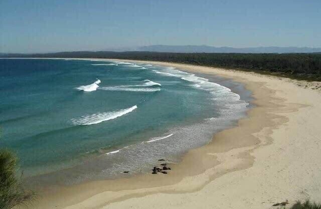 Broulee - Pet Friendly Coastal Delight!