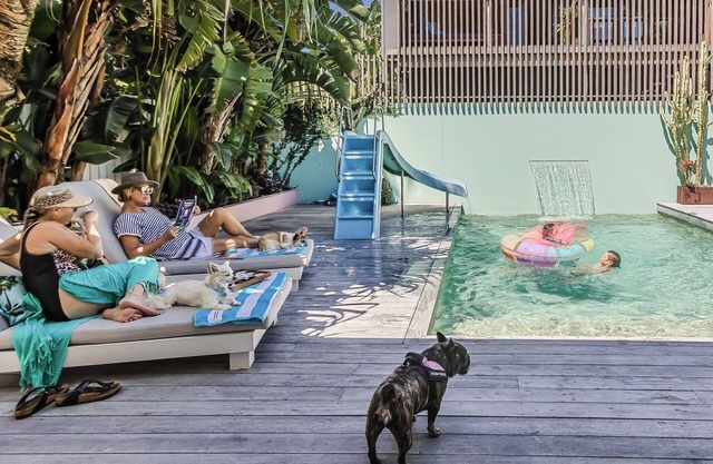 Brunswick Heads/Byron Bay NSW Australia. Family Pool Beach House