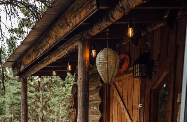Buck Ridge Log Cabin Wild game everywhere