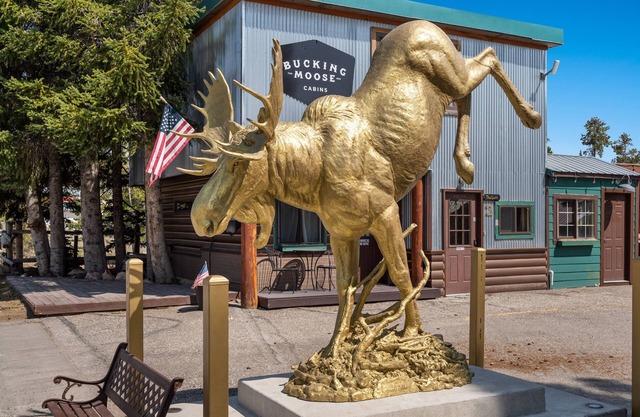 Bucking Moose The Loft (#2)