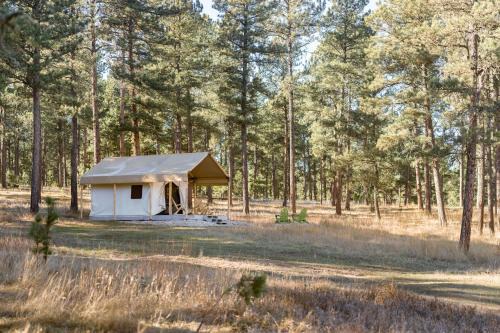 Buffalo Canvas Tent