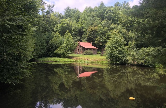 Buffalo Hollow Preserve & Cabin in the Blue Ridge Mountains Pet Friendly