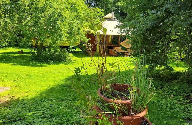 Bungalow pour 6 personnes avec 100m² à Danneborth (58272)