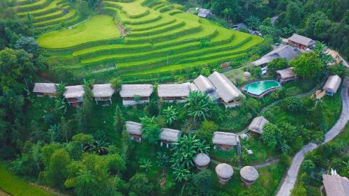 Bungalow Hoàng Su Phì