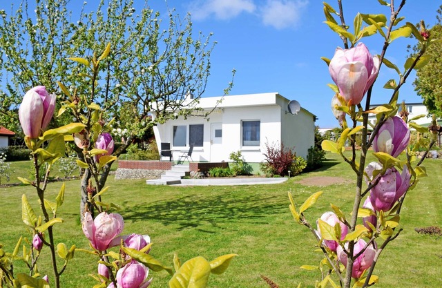 Bungalow "Sundblick" avec vue sur la mer, terrasse privée et Wi-Fi
