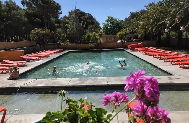 Bungalows et Roulotte Bord de mer et Piscine
