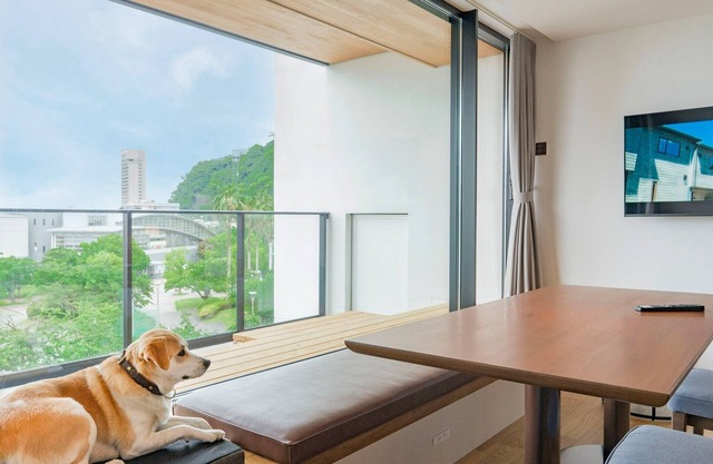 Bunk bed RoomDog fliendly1offsite parking lot / Atami Shizuoka