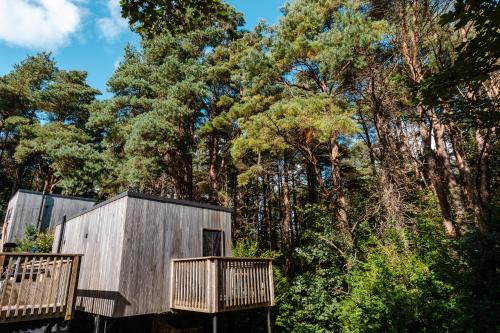 Burrenmore Nest - Luxury Forest Lodges with Hot Tubs & Sauna