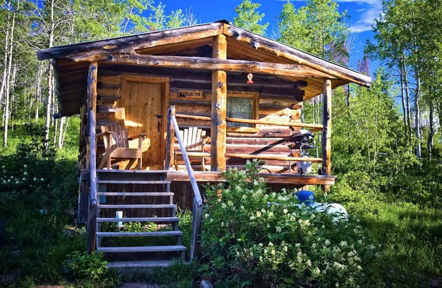 Burton Cabin - Secluded Rustic Charm