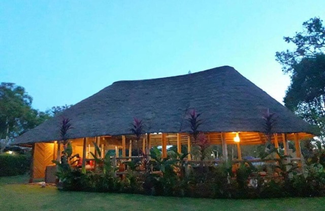 Bushbaby Lodge