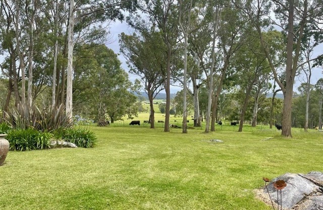 Bushland Escape: A rural bush setting on acreage suitable for small groups