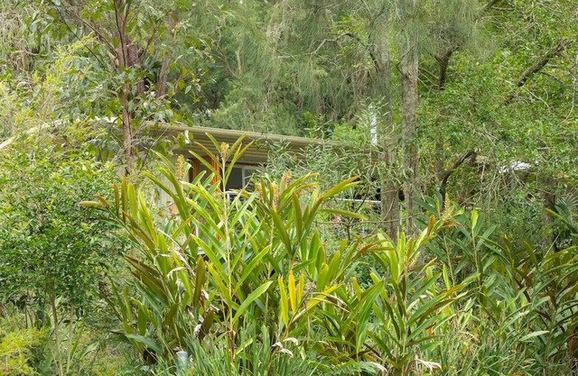 Bushland Retreat beside a beautiful lake - big eco house with 4 large bedrooms.