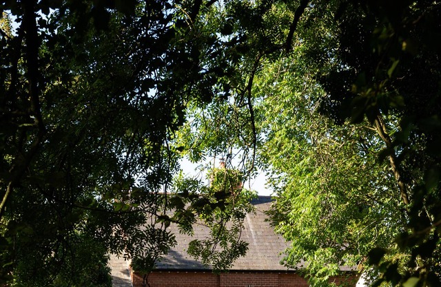 BUTLERS COTTAGE IN DELIGHTFUL SETTING