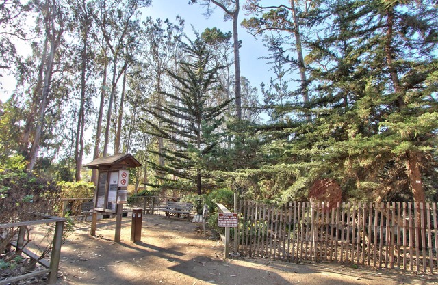 Butterfly Grove Inn