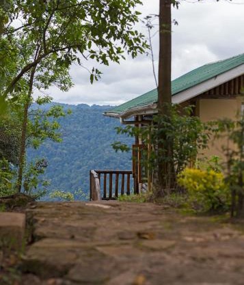 Bwindi Orugano Lodge