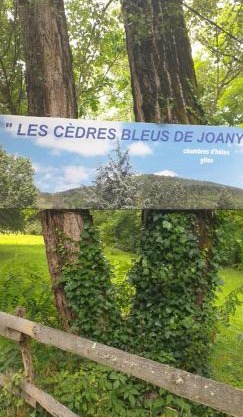 Cèdres Bleus de Joany chez Nathalie