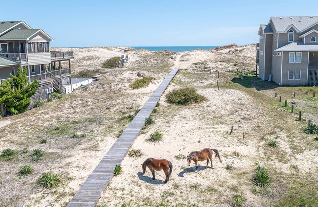 C9083 Cavallo Dunes. Oceanfront, 3 Bedrooms, Hot Tub, Pets OK, 4x4 Area