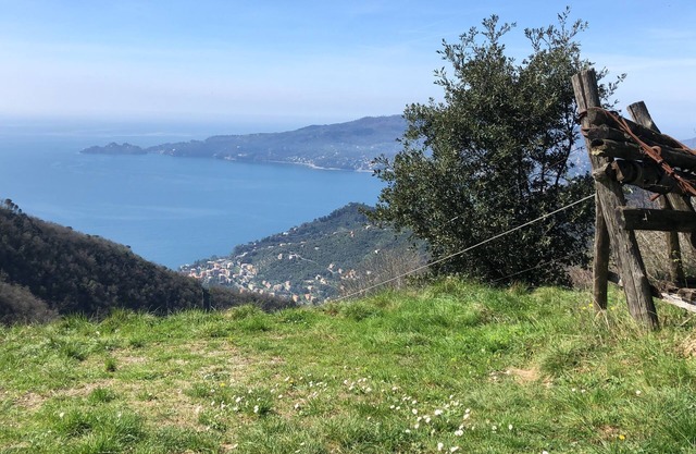 Ca du Neu. Appartement avec deux grandes terrasses, vue panoramique.