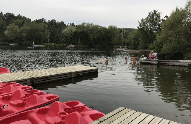 Lakeview Cottage