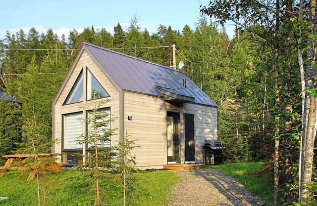 Scandinavian mountain mini chalet