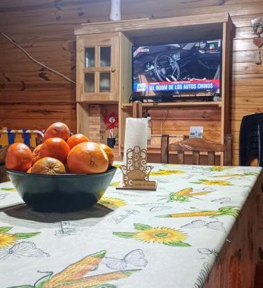 Cabaña Camilu