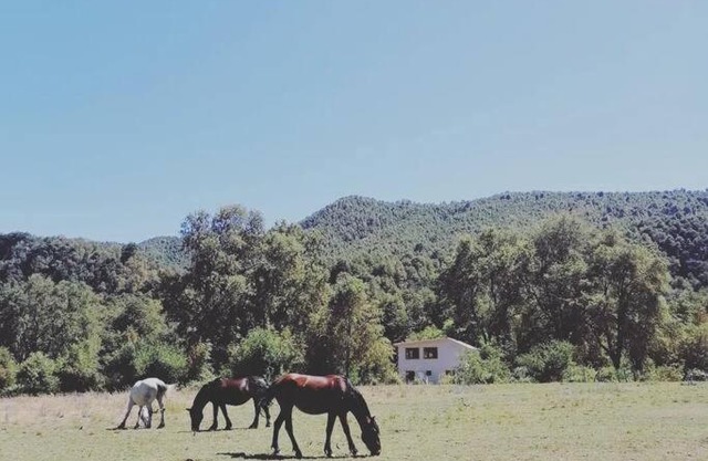 Cabaña con patio de 10 hectáreas