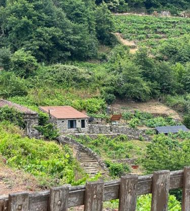 cabaña do rei