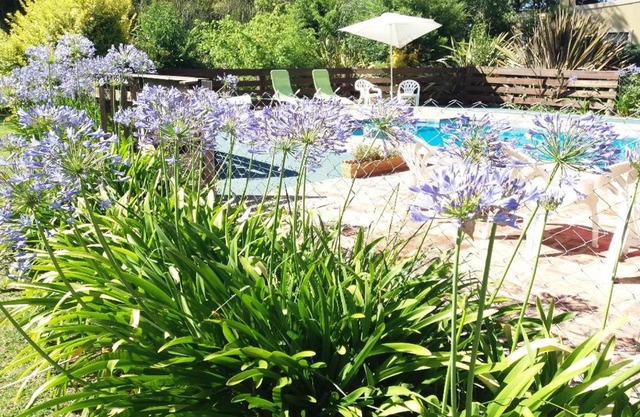 Cabañas Los Aromos