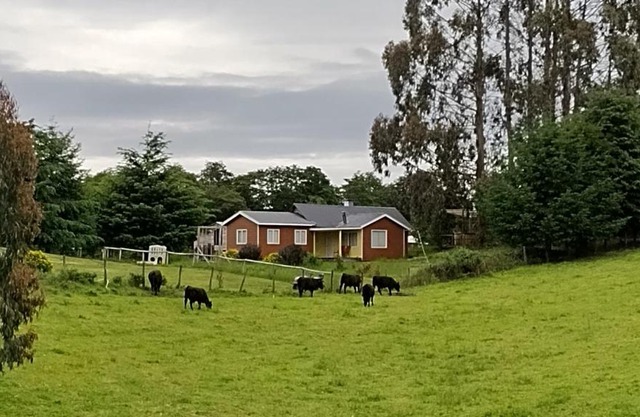 Cabañas Maullin, Las Chilcas